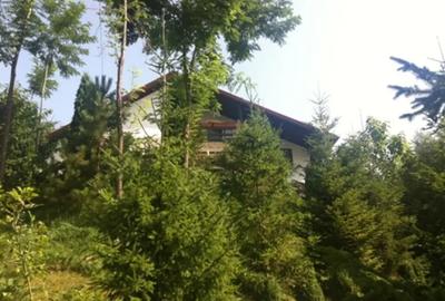 Casă cu 7 camere în Piatra (Provița de Jos) - 3