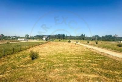 Teren de 1116 mp, în Tărtășești - 5