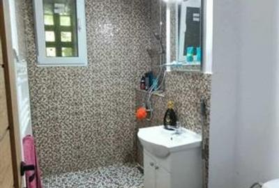 Apartament renovat cu 2 camere la parter, Astra, Brasov - 8