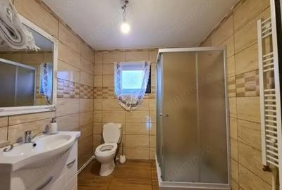 Vila de lux cu vedere panoramica,Deva,zona rezidentiala - 13