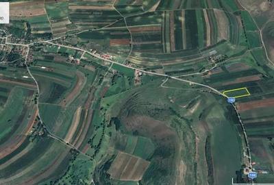 Teren de 10000 mp, în Mociu