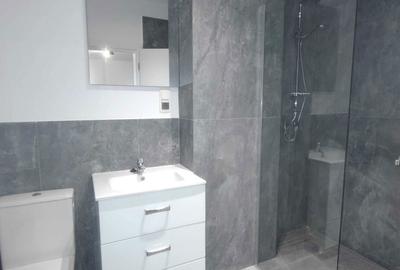 Apartament cu 2 camere semidecomandat în Vasile Alecsandri - 3