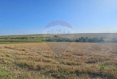 Teren de 7500 mp, în Moara - 15