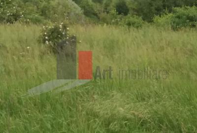 Spațiu comercial, în Central - 14