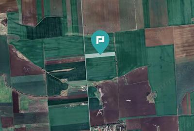 Teren de 30000 mp, în Peciu Nou - 1