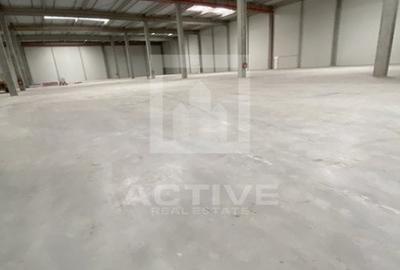 Spațiu industrial, 10000 mp în Someșeni
