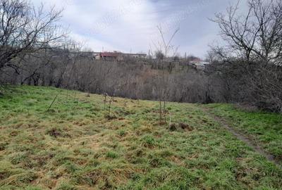 Teren de 2160 mp, în Vârlezi - 5