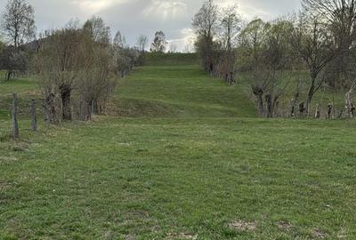 Teren de 6354 mp, în Albești - 4