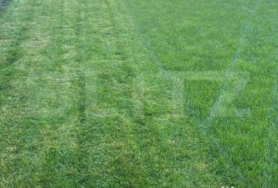 Casă cu 5 camere cu Teren 500 Mp în Central - 4