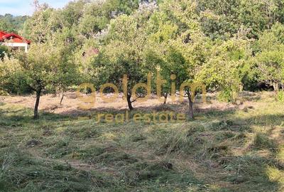 Casă individuală cu 7 camere cu Canalizare în Cornu - 53