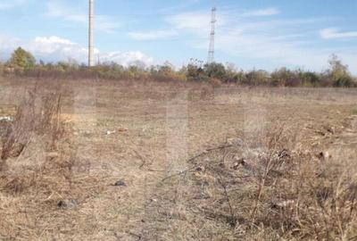 Teren 7240mp, zona Prelungirea Panduri - 6