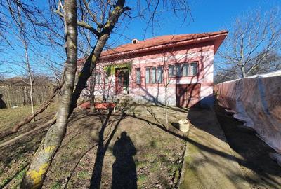Casă cu 3 camere în Valea Stanciului - 4