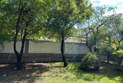 Iancu Nicolae vila 5 dormitoare gradina matura - 11