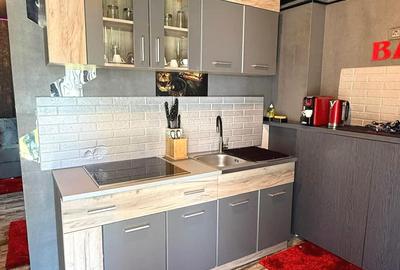 Garsonieră decomandată, mobilată în Bucium - 4