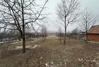 CASĂ DE VÎNZARE ÎN ILOVA\7 CAMERE, JUD.CARAȘ-SEVERIN - 9