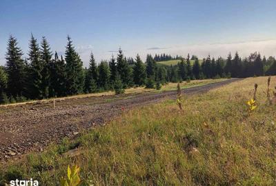 Teren de 700 mp, în Tiha Bârgăului - 1