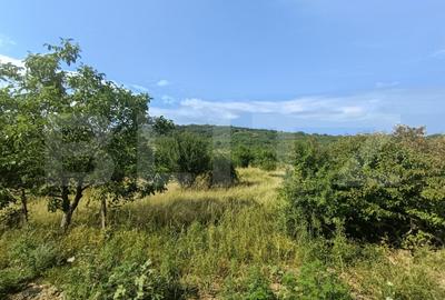 Teren de 1252 mp, în Aghireș