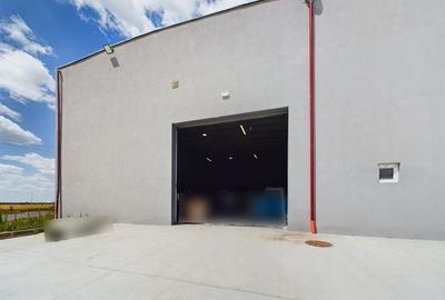 Hala 209mp Exterior Nord - 2