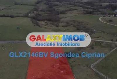 Teren de 1093 mp, în Tohanu Nou - 7