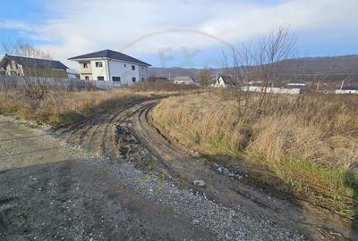 Teren Construcții intravilan de 1250 mp, în Bascov - 4