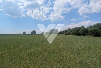 Teren intravilan 1670 mp cu vedere spre lacuri Ocna Sibiului - 4