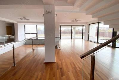 Oportunitate de afacere: spa?iu de inchiriat 650 mp in Arad - 1