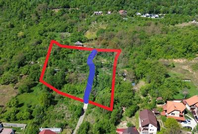 DE VANZARE Teren Baia Mare / Strada Sanatatii - 3