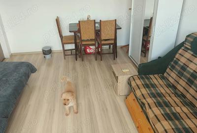 Apartament cu 2 camere decomandat în Berceni - 3