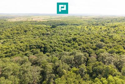 Teren agricol extravilan de 22900 mp, în Exterior Sud - 19