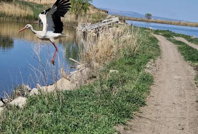 Casa renovata Bolde?ti-Gradi?tea jud Prahova locuibila imediat - 10