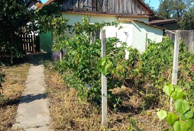 Casă cu 3 camere în Diosig - 2