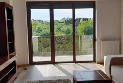 Apartament cu 2 camere decomandat, mobilat în Bună Ziua - 9