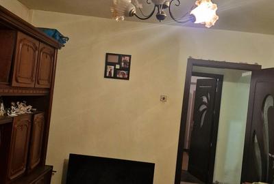 Apartament cu 2 camere decomandat în Craiovița Nouă - 8