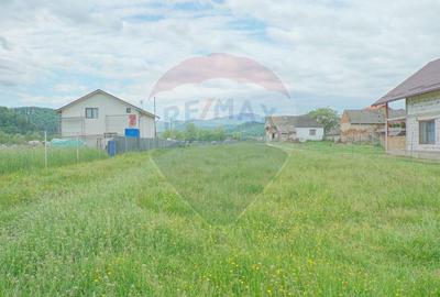 Teren Construcții intravilan de 2551 mp, în Acriș - 10