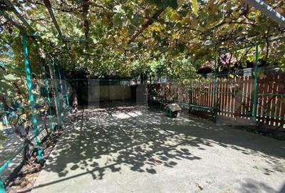 Casă cu 3 camere cu Teren 510 Mp în Dorobanțul - 8