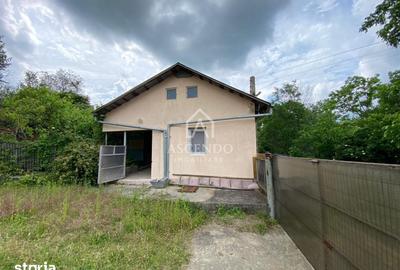 Teren de 15900 mp, în Năeni - 6