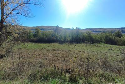 Vand teren Vultureni - 3