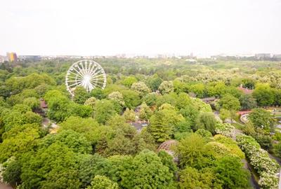 Apartament cu 3 camere semidecomandat în Tineretului - 12