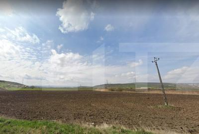 Teren de 5800 mp, în Apahida