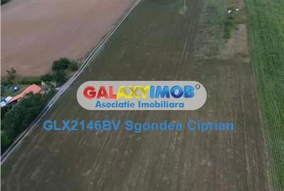 Teren de 1633 mp, în Feldioara - 2