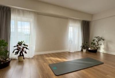 Casa de lux tip duplex, Copou - 5