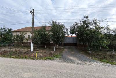 Casă cu 4 camere cu Teren 3600 Mp în Grăniceri - 2