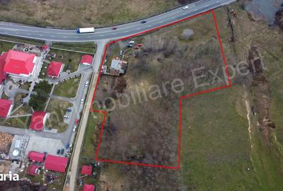 Teren de 10141 mp, în Morărești - 9