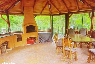 Casă cu 10 camere cu Teren 1000 Mp în Cerbăl - 3