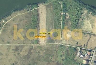 Teren de 618 mp, în Mogoșoaia - 2