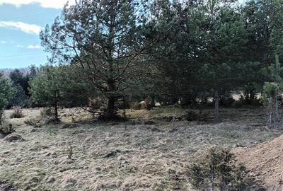 Teren intravilan intr-o zona mirifica, cu apa curgatoare, Zarnesti - 5