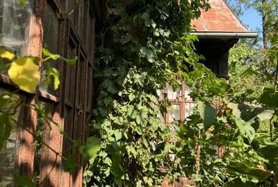 Casă individuală cu 5 camere cu Teren 1600 Mp în Poseștii-Pământeni - 12