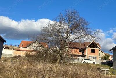 Spațiu comercial, în Șura Mare - 2