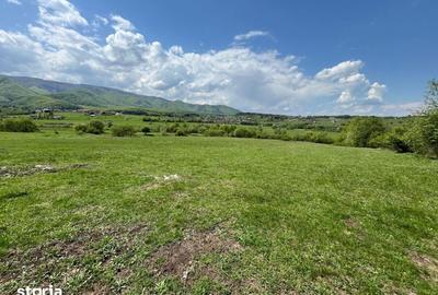 Teren de 600 mp, în Sadu - 2