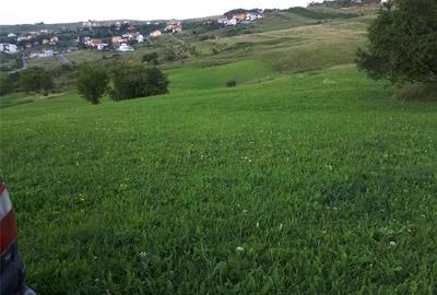 Teren de 4039 mp, în Borhanci - 1